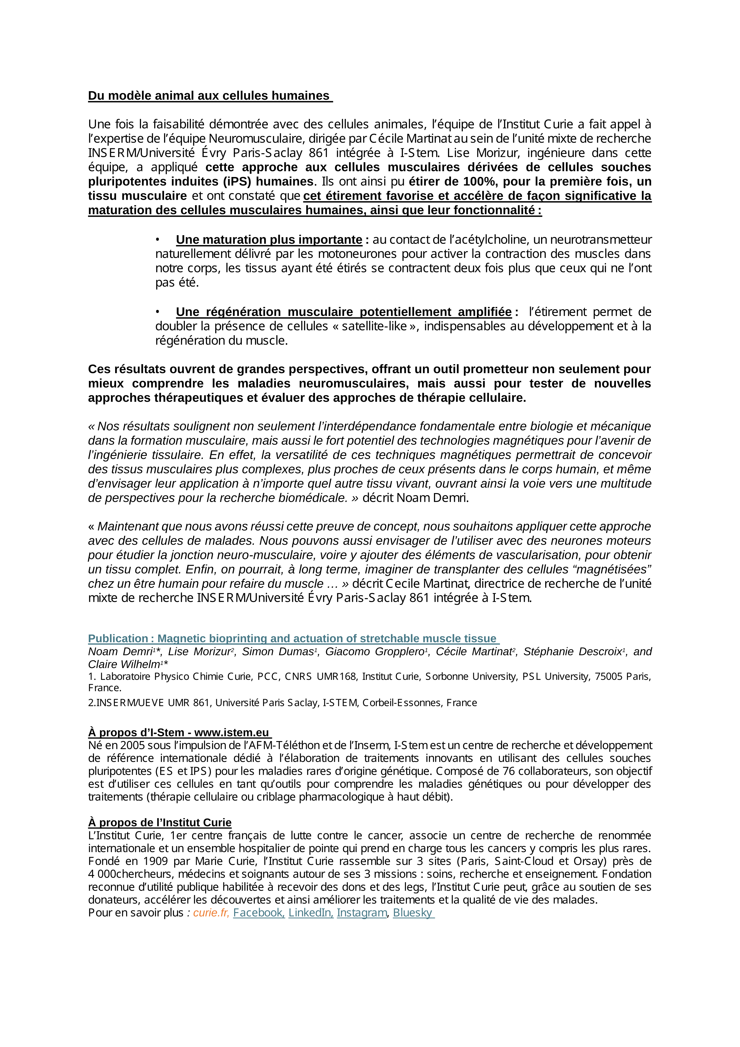 Des cellules magnétiques pour mieux concevoir et comprendre des tissus musculaires humains. Page 2 sur 3 