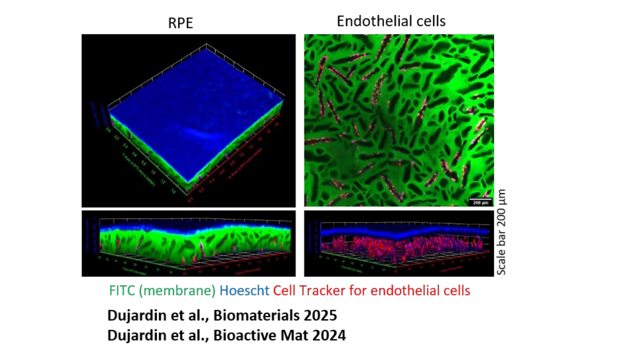 Figure 2 retinopathies